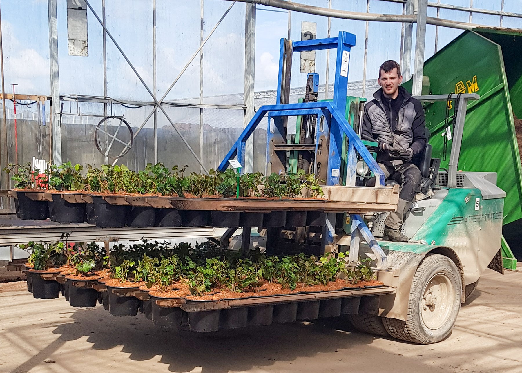 Pawel kører nypottede planter ud i marken med space-o-mat trucken.